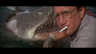 Getting Chummy With The Shark | JAWS