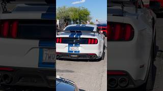 S550 Shelby GT350 ghost cam tune