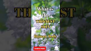 What is the thinnest skin in the human body #shorts #facts #biology