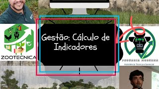 Live de 04 06 sobre Gestão: Cálculo de Indicadores