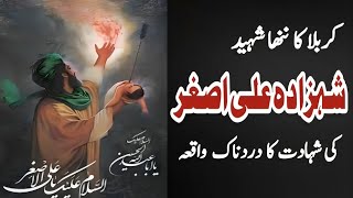 Masaib Ali Asghar | Waqia Karbala | Shahzad Ali Asghar Ki Shahadat |Meerut Azadari | شہزادہ علی اصغر