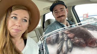 A Trip To Jungle Jim's! Visiting the South African Section & a Local Grocery Haul