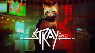 STRAY_Операция "КОТЛЕТА" Мяу...ч. 1