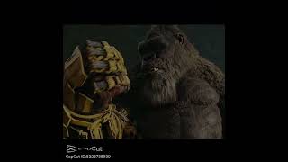 Godzilla and kong edit gxk