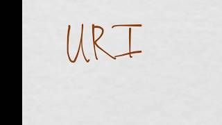 An Algorithmic Approach to URIs