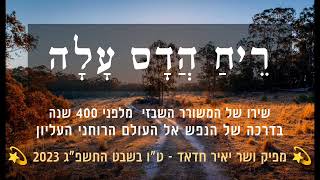 ריח הדס עלה B minor 🌱 יאיר חדאד 🌱 שיר חזיון רוחני של השבזי