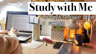 PRODUCTIVE DAY || study with me, homework || школьный день