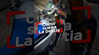 Magnífico sonido de la bestia #motos #cfmoto #viral #motodeportiva #motos