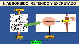 BROMATOLOGIA: Calidad de Proteínas Alimentarias.