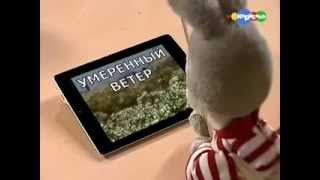 Путешествие вместе с Хрюшей   Сильный ветер   смерч, ураган