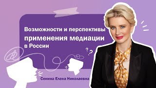 Возможности и перспективы применения медиации в России