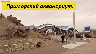 Экскурсия по Приморскому океанариуму.