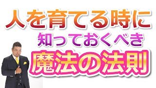 人を育てる時に使える【魔法の法則】応援する極意「情熱社長YouTuber」【MimaTube】美馬　功之介