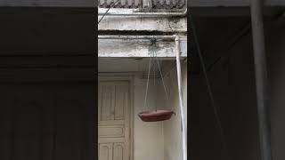 Old house old memories #oldisgold #old #memories #shortsclip #shortvideo #shortsviral