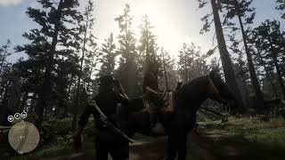 The Funniest Player Interaction in Red Dead Online