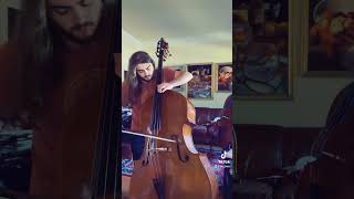 Great Fairy Fountain on Bass! #classicalmusic #doublebasssolo #bass #legendofzelda #zeldamusic