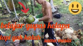 cara gopek kelapa tercepat#sarkawi awi 99#