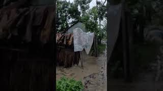 Whispers of Nature: Rain and Thunder in the Village #ASMR #arainingday #natural #viral