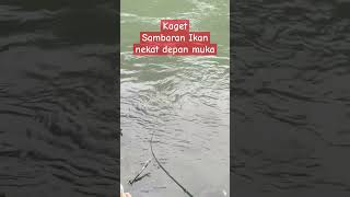 Sambaran bocil Nekat