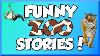 Funny Zoo Stories!