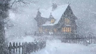 Howling Blizzard Sounds | Winter Ambience | Heavy Wind & Snowfall | Snowstorm Sounds For Sleeping