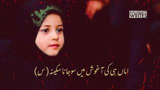 Youn Na Rona Sakina s.a - Irfan Haider | WhatsApp Noha Status | Ahlulbait Writes