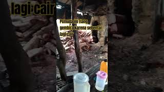 Arang kayu #youtubeshorts #fypシ #viral #arang