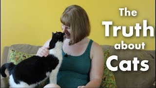 The Truth About Cats