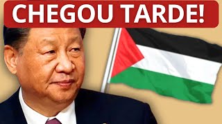 China NÃO VAI conseguir CESSAR-FOGO entre Israel e Palestina - Paulo Sérgio Pinheiro