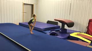 2019 Xcel Bronze Floor Routine - TNT Gymnastics, LLC.