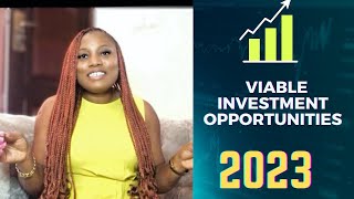 INVESTMENT OPPORTUNITIES to EXPLORE  in 2023