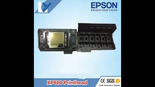 XP 600 Epson authorized and non-authorized head