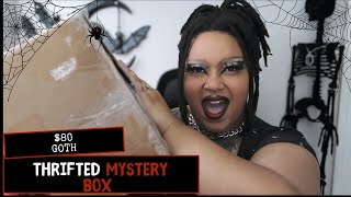 Open a Thrifted Goth Mystery Box With Me!