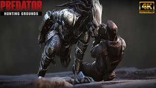 🔴Stream! Patch 2.50 Predator Hunting Grounds | Let's kill predators 23 09 2024