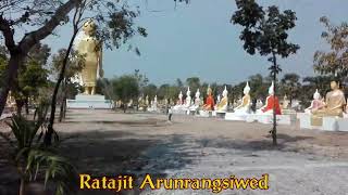 Buddha Statues for Worship in Thailand