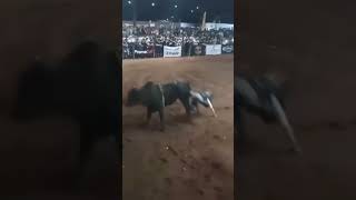 VINÍCIUS ARCANJO FOI CAMPEÃO DE RODEIO EM UBERLÂNDIA DE 2023