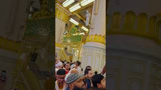 Jannat ka Tukda | Riyazul jannah or Member-e-rasul #madina #masjidnabawi #viral2024