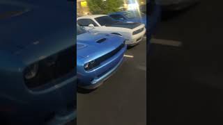 Hellcats and scatpacks #srt#hellcat#392