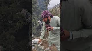 میله دوستان در دل طبیعت Our friends picnic in the  nature