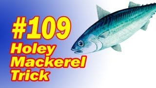 Holey Mackerel Trick - Something Fishy About This Magic Trick