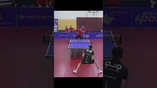 Table Tennis: Fastest Skills Ever Seen #tabletennis #proplayer #proplays #speed #unstoppable