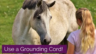 Grounding Cords - The #1 Most Helpful Energy Tool for Animal Communicators - and How to Use Them!