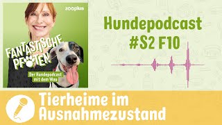 Hunde im Tierheim: Zu viele Schnauzen für zu wenig Hände | zooplus Hundepodcast #S2F6