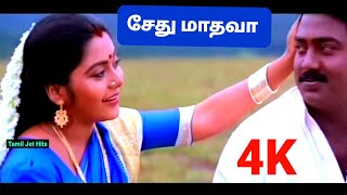 Sethu Madhava 4k Video Song/சேது மாதவா/Santhosham/Music Deva/Anuradha sriram, Unnikrishnan/90's hits