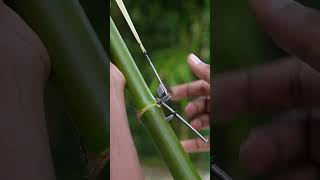 #satisfying #bamboo #bushcraft #survival #garden #diy #bamboocrafts #slingshots #duet #comedyfilms