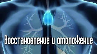 СТИМУЛЯЦИЯ ТИМУСА - ВОССТАНОВЛЕНИЕ И ОМОЛОЖЕНИЕ