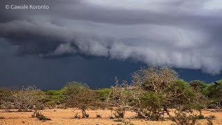 Roobkii gu’ga oo kada’ay Puntland.