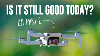 DJI MINI 2 Review | My experience