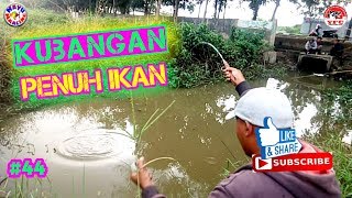 Mancing Ikan Lele dan Sepat Di Kubangan