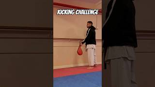 Kicking challenge #kicks #martialarts #karate #shorts